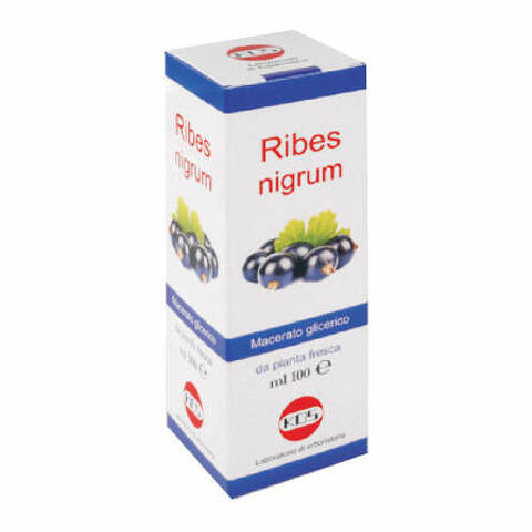Ribes nigrum macerato glicerico 100ml gocce