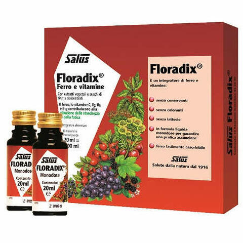 Floradix ferro 10 flaconcini 20ml