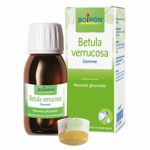 Betula verruco macerato glicerico 60 ml int