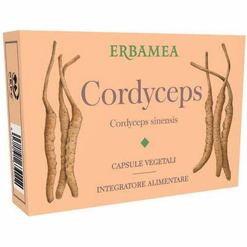 Cordyceps 24 capsule vegetali