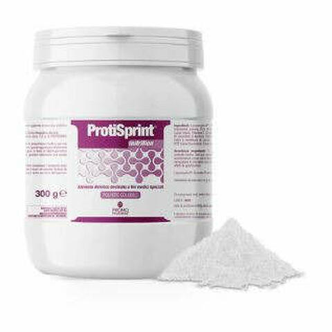 Protisprint nutrition polvere proteica 300g