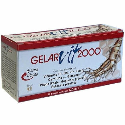 Vit 2000 28 flaconi monodose 10 ml