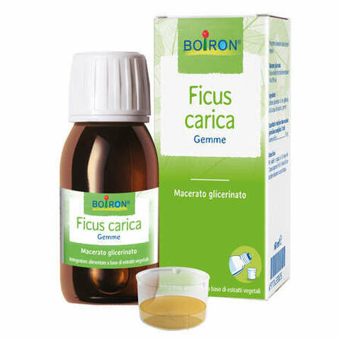 Ficus carica gemme macerato glicerinato 60ml int