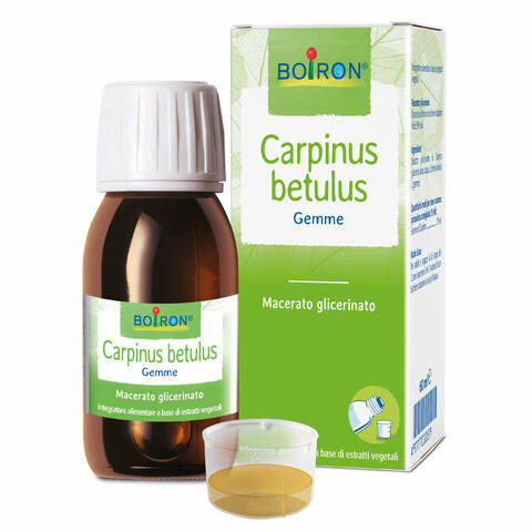 Carpinus bet  macerato glicerico 60 ml