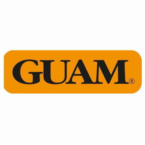 Guam fangogel fir azione caldo-freddo 300ml