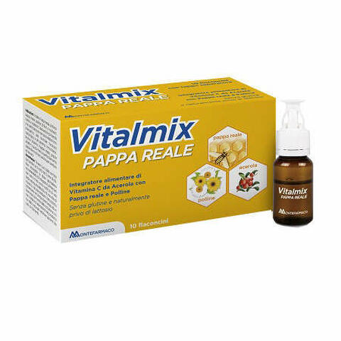 Vitalmix pappa reale 10flaconcini x10ml s/gl