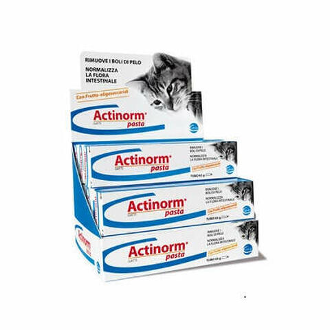 Actinorm pasta gatti 65 g