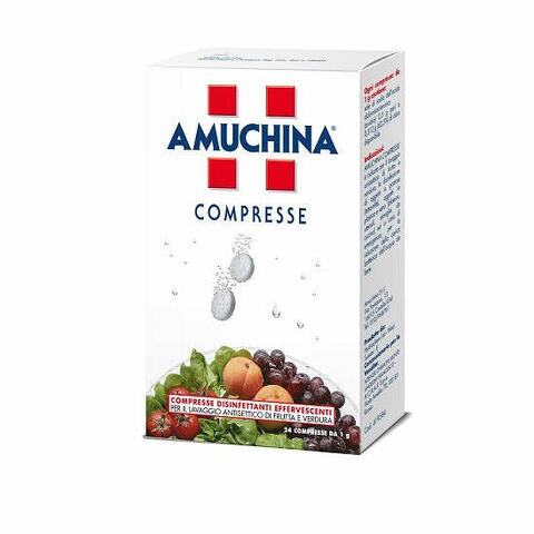 Amuchina compresse 1 g 24 pezzi