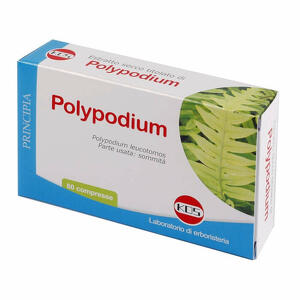 Polypodium - Polypodium estratto secco 60 compresse vegetali