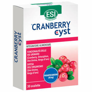 Cranberry cyst - Esi cranberry cyst 30 ovalette
