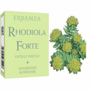 Rhodiola forte - Rhodiola forte 24 capsule