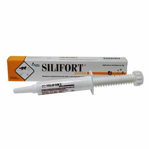 Silifort - Silifort pasta os siringa 15 g
