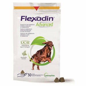 Flexadin - Flexadin advanced cane tutte le taglie 30 tavolette appetibili