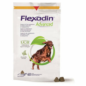 Flexadin - Flexadin advanced cane tutte le taglie 60 tavolette appetibili