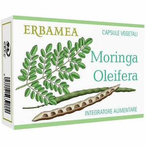 Moringa oleifera - Moringa oleifera 24 capsule
