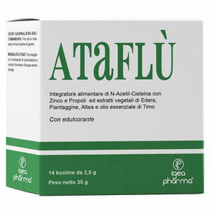 Igea pharma - Ataflu' 14 bustine