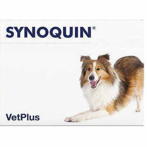 Synoquin large breed - Synoquin efa large breed 30 compresse