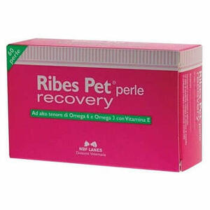N.b.f. lanes - Ribes pet recovery 60 perle