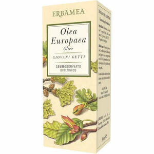 Olivo - Olea europea  bio 50 ml