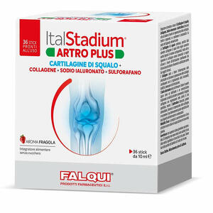 Falqui - Italstadium artro plus 36 stick da 10 ml
