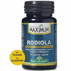 Maximum rodiola - 40 capsule