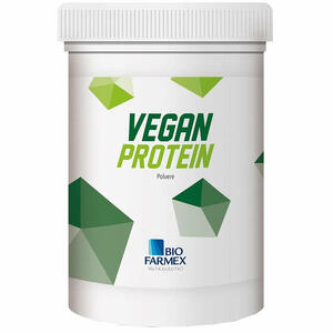 Vegan protein - 500 g