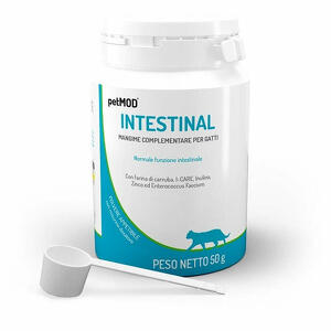 Intestinal - Petmod  gatto polvere 50 g