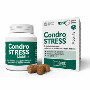 Condrostress mobility - 60 soft chews