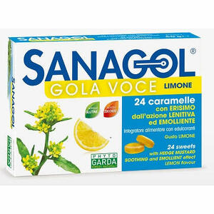 Named - Sanagol gola voce senza zucchero limone 24 caramelle