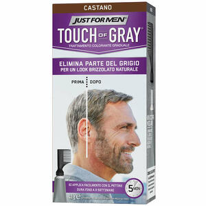 Castano - Just for men touch of gray castano 40 g