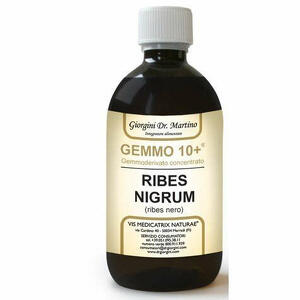 Giorgini - Gemmo 10+ ribes nero 500ml liquido analcolico