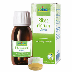 Boiron - Ribes nigrum macerato glicerico 60ml int
