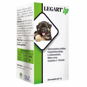 Legart - Legart up 60 compresse da 1 g