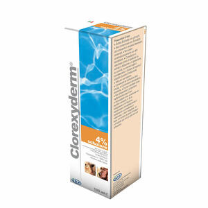 Clorexyderm - Clorexyderm sol 4% schiuma 100ml